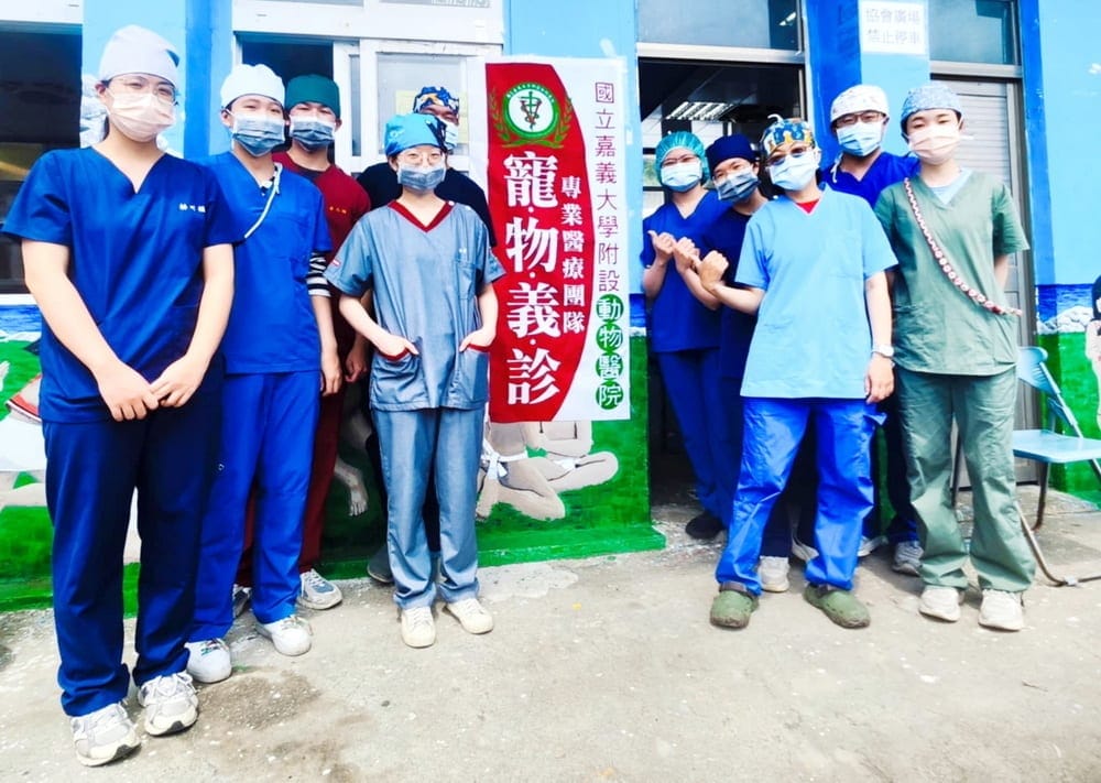 嘉大動物醫院遠征蘭嶼展開免費犬貓絕育活動 一同守護毛孩健康