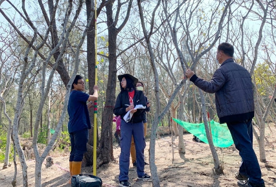天地人合一 大嘉共營美好新故里嘉義大植物醫師與樹木專家前進好美里實踐大學社會責任