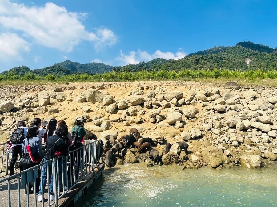 嘉義縣獎勵旅行社送客到嘉義 總計送出百萬獎金 歡迎遊客可以常常「回嘉」