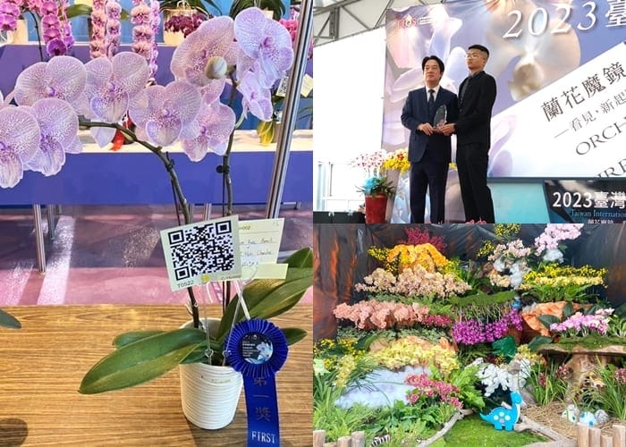 2023台灣國際蘭展蘭花魔鏡 嘉義大學師生参賽奪第一和佳作
