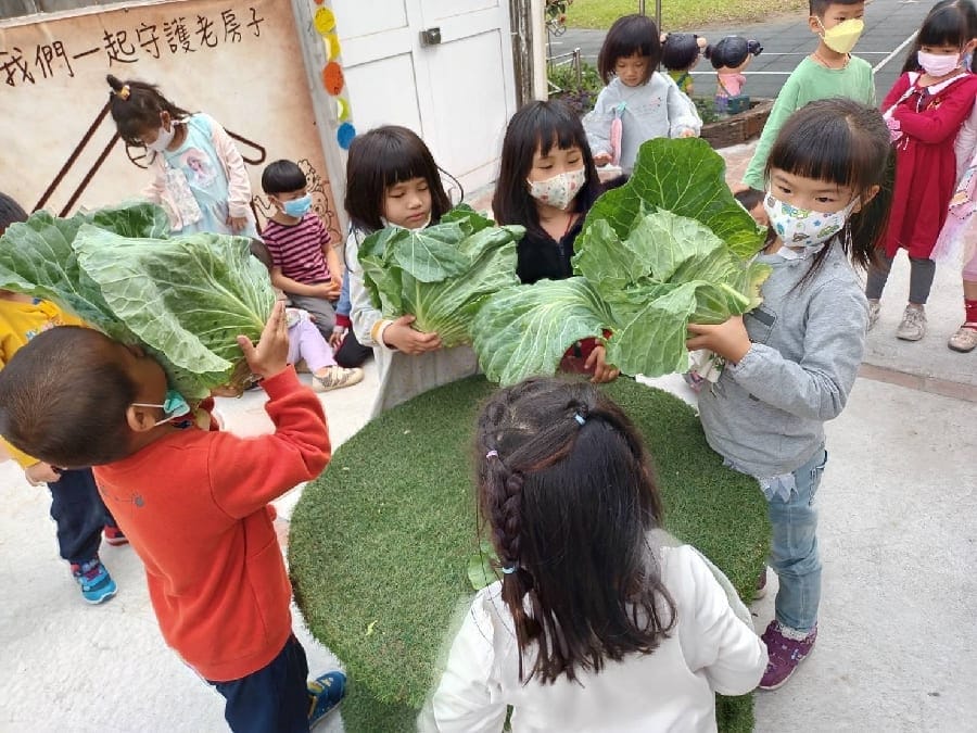 力挺農民 嘉市國中小幼兒園「食」際行動助高麗菜農
