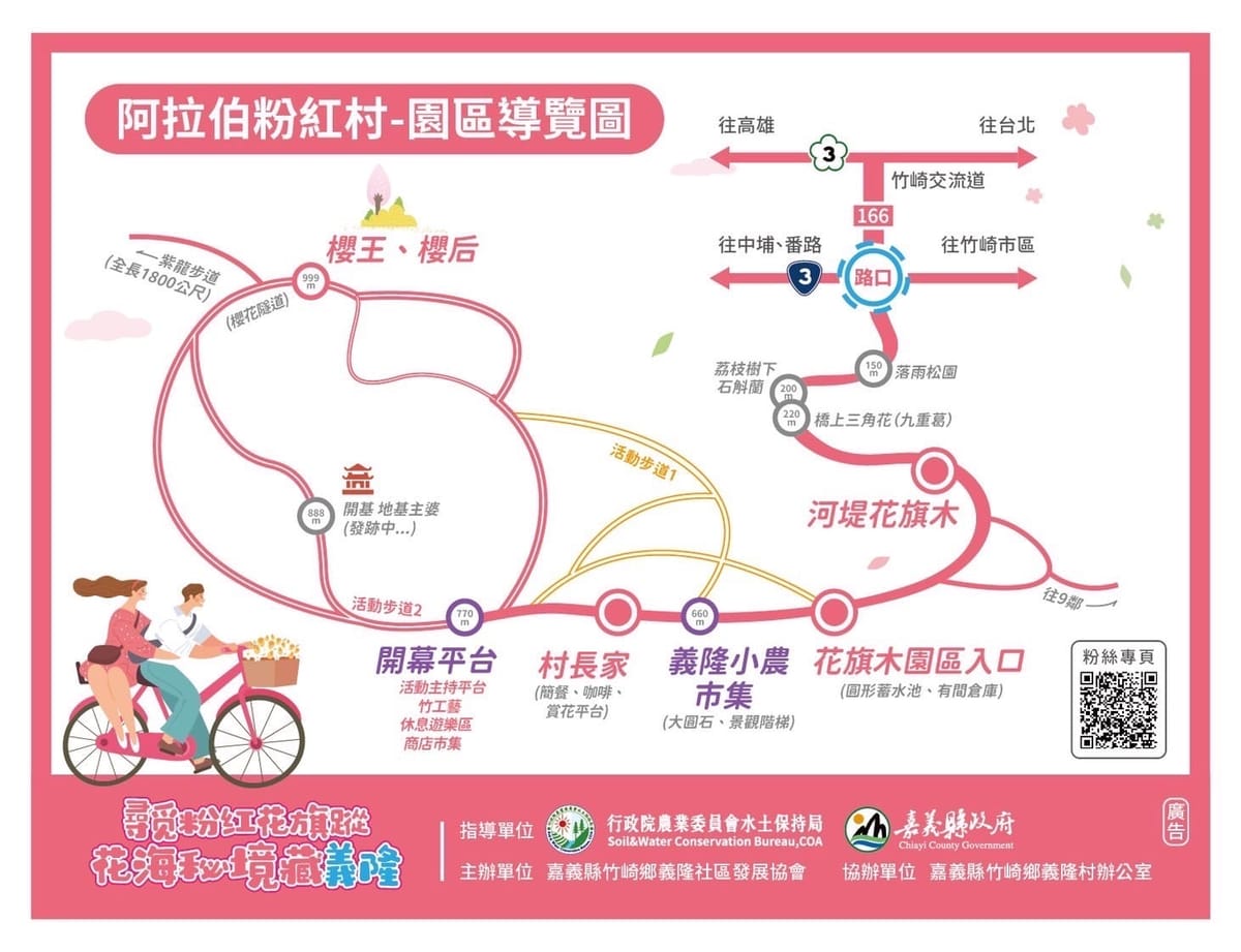 尋覓粉紅花旗蹤 花海秘境藏義隆嘉義縣長翁章梁力推平原櫻花秘境竹崎阿拉伯粉紅村