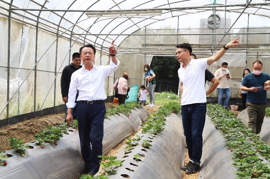 科技改變經營！智慧農業導入嘉義中埔幸福有機草莓農場