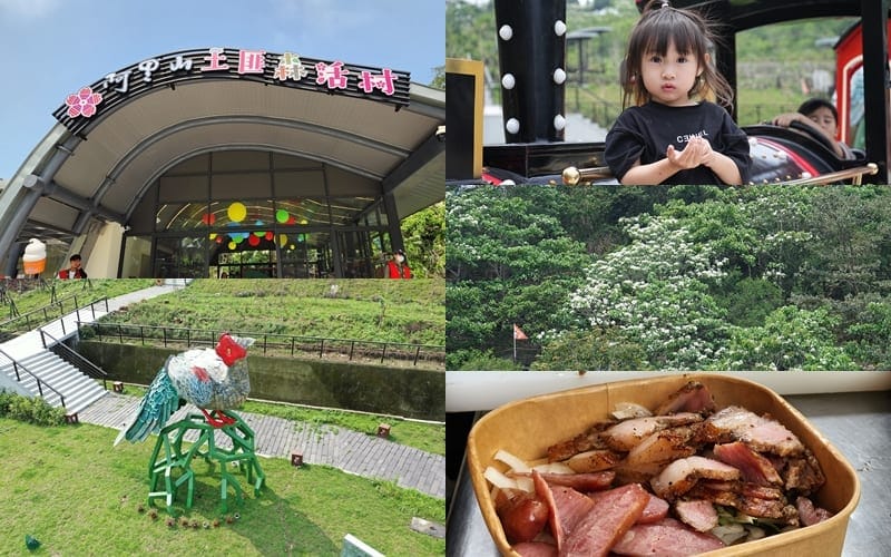 臺灣真有土匪山! 嘉義阿里山秘境「土匪山」活化 公興森態園區試營運