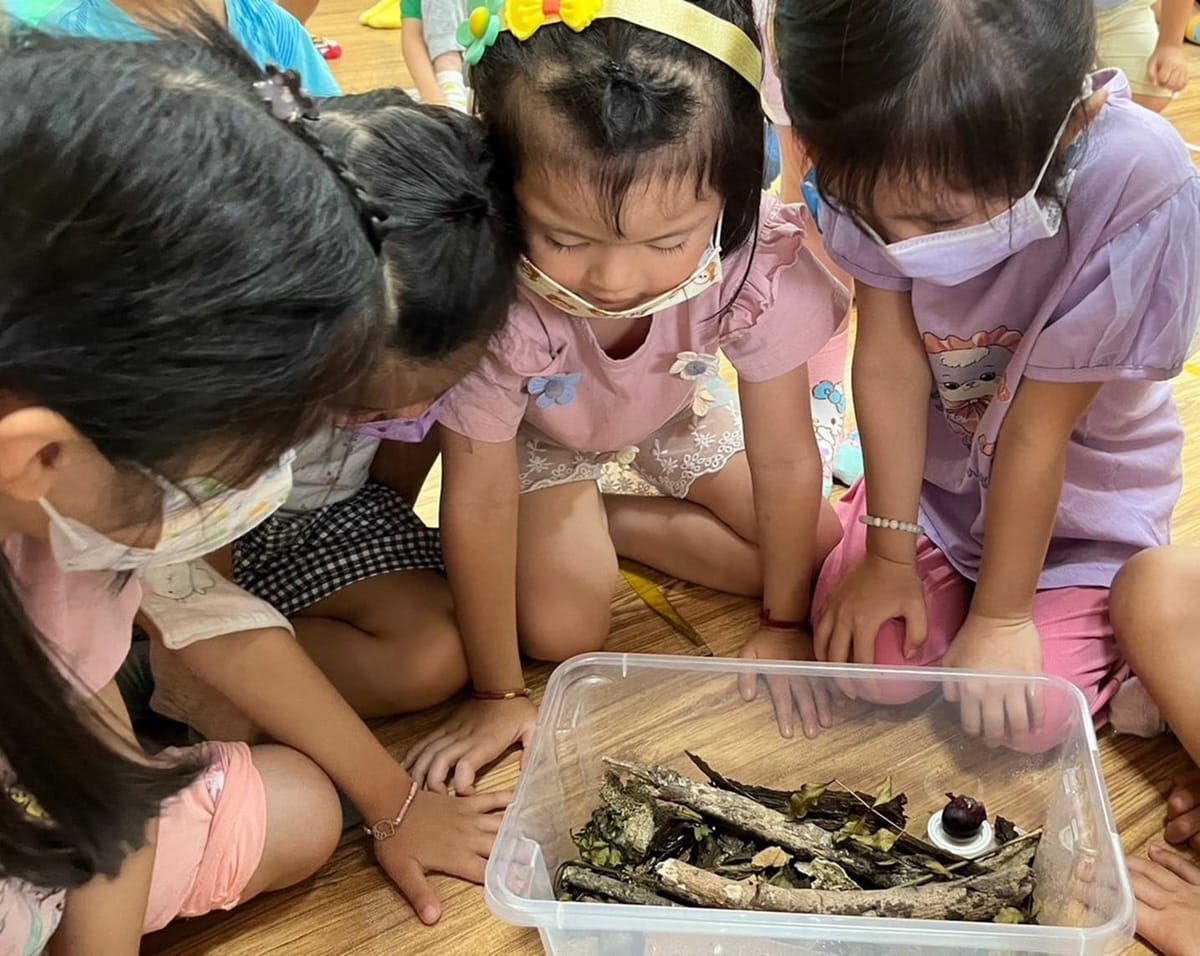 歷時一學期 幸福幼兒園學童飼育獨角仙迎羽化 孩子們上了最棒的一堂自然課