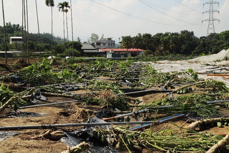 嘉義縣降下大豪雨衝擊農產及畜牧業 翁章梁縣長勘災畜牧場、木瓜園