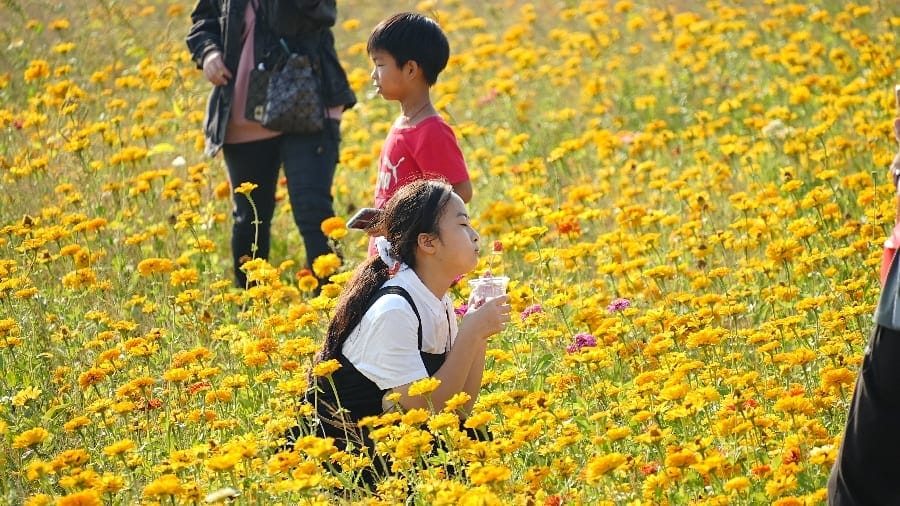 嘉義花海生活節又來了！重磅登場 嘉義市長黃敏惠邀大家來嘉綻放快樂體驗生活