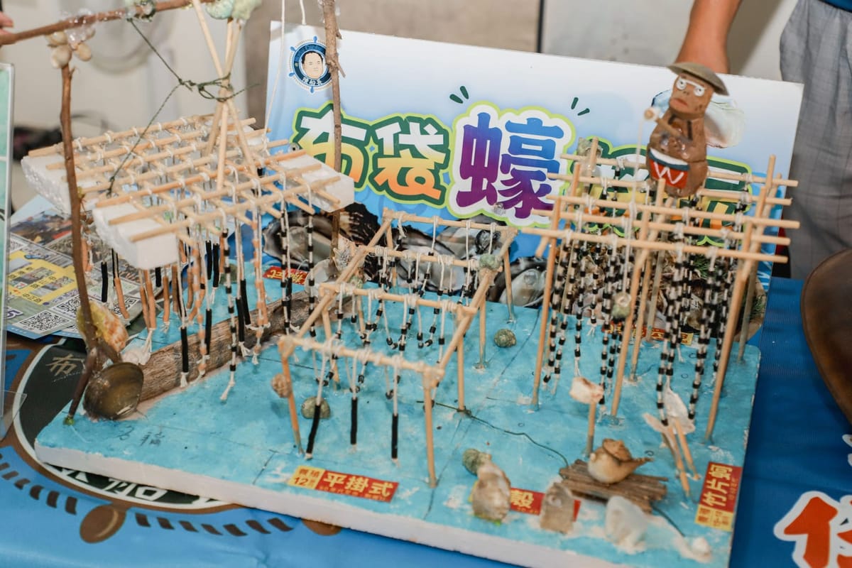 候鳥季登場！嘉義東石、布袋濕地親子賞候鳥好去處