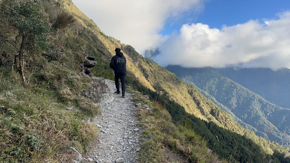 玉山群峰出現浪犬，狗狗加籠40公斤扛下山
