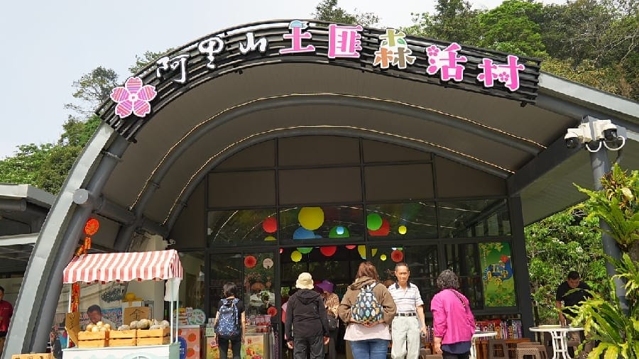 來嘉感受最閃耀、夢幻的螢光派對登場 嘉義縣文觀局精選賞螢景點