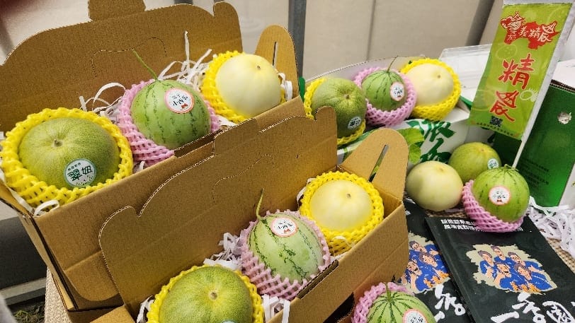 手掌大迷你小甜瓜 西瓜「定植活動」！一季園主助半路從農小夫妻重新學習