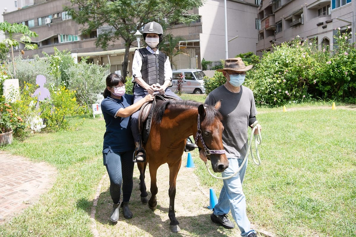 樂齡馬術伴長輩培養好肌力！榮譽市馬Lulu添丁 黃敏惠市長親送「月子禮」祝福