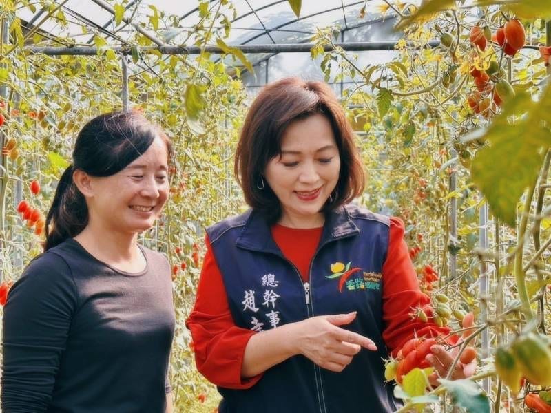 番路農業驕傲！番路奇女子江曉琪再創農業奇蹟，以創新與堅持摘下全國小番茄亞軍
