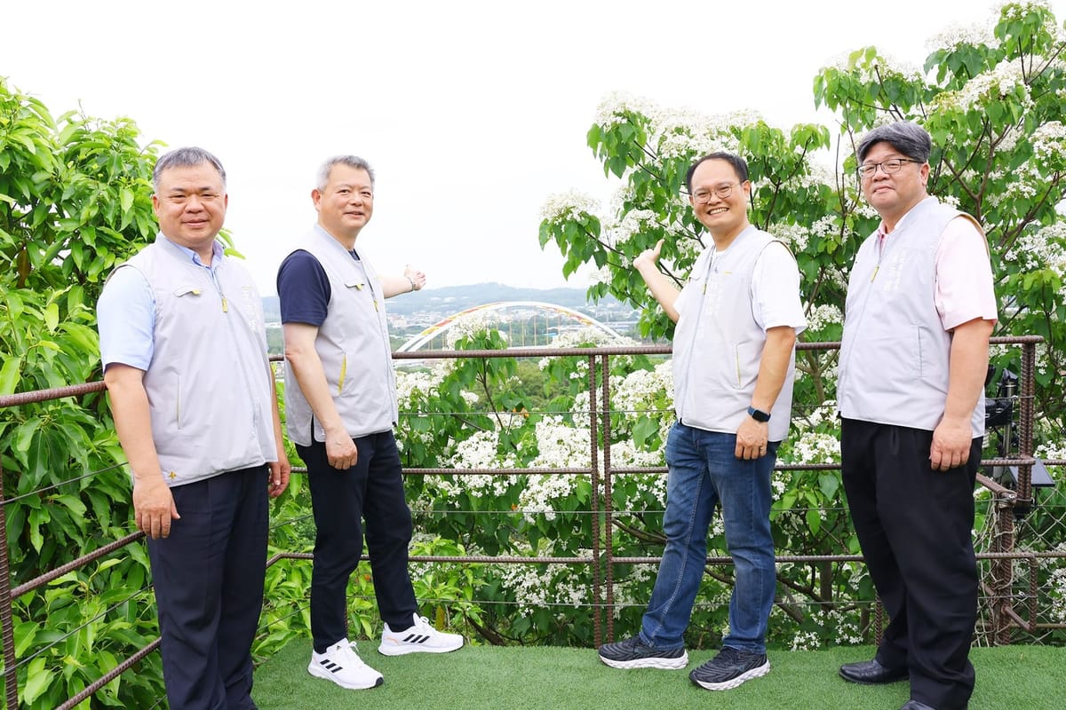 桐花與盧山橋輝映成獨「嘉」美景！2025嘉義市桐花祭浪漫登場