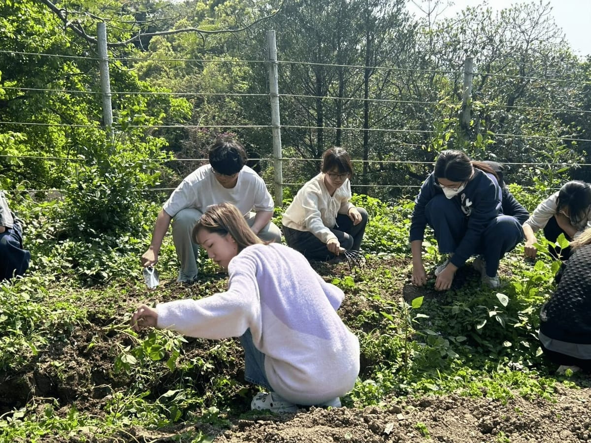 南華大學永續行動與食農教育課程　結合實作培育綠領新世代