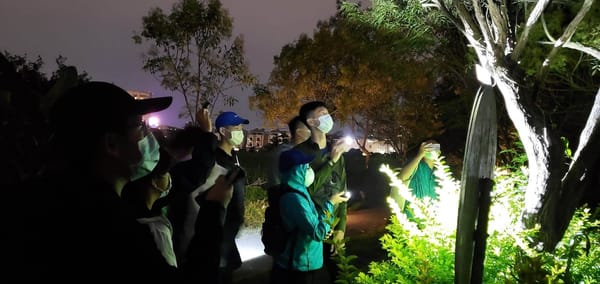 深耕 科學 科技 獨立研究 嘉義市北興國中科展續奪金