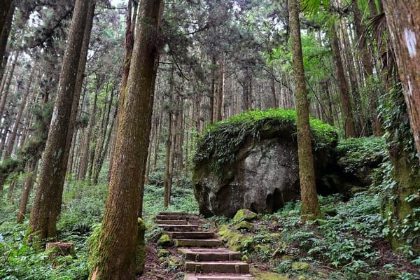來嘉消暑 嘉義縣長翁章梁推薦2大賞瀑景點及6條步道 享受森林浴