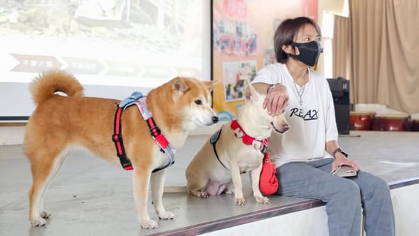 嘉義縣唯一校狗「黑妞」搬家到港墘 當孩子的溫柔守護神
