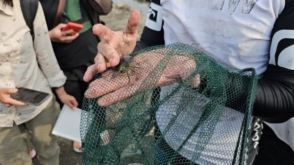 南應大「戲水鯤鯓國際交流」，從遊憩學習生物多樣性